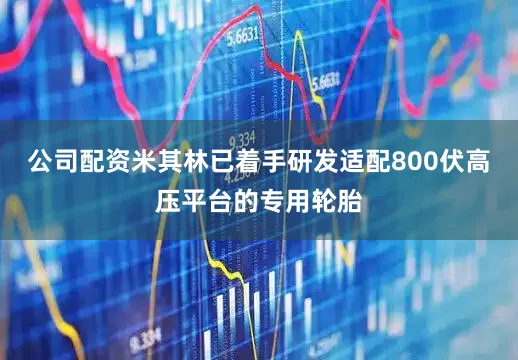 公司配资米其林已着手研发适配800伏高压平台的专用轮胎
