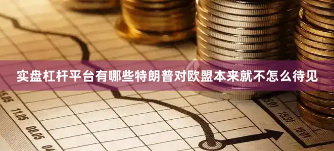 实盘杠杆平台有哪些特朗普对欧盟本来就不怎么待见