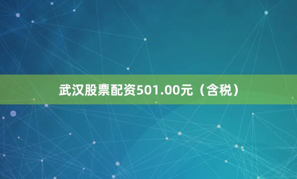 武汉股票配资501.00元(含税)