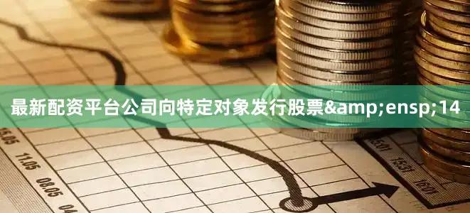 最新配资平台公司向特定对象发行股票 14